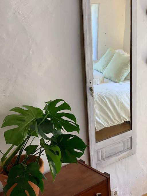 Alma Do Paco Bed & Breakfast Santo Isidoro Exterior photo